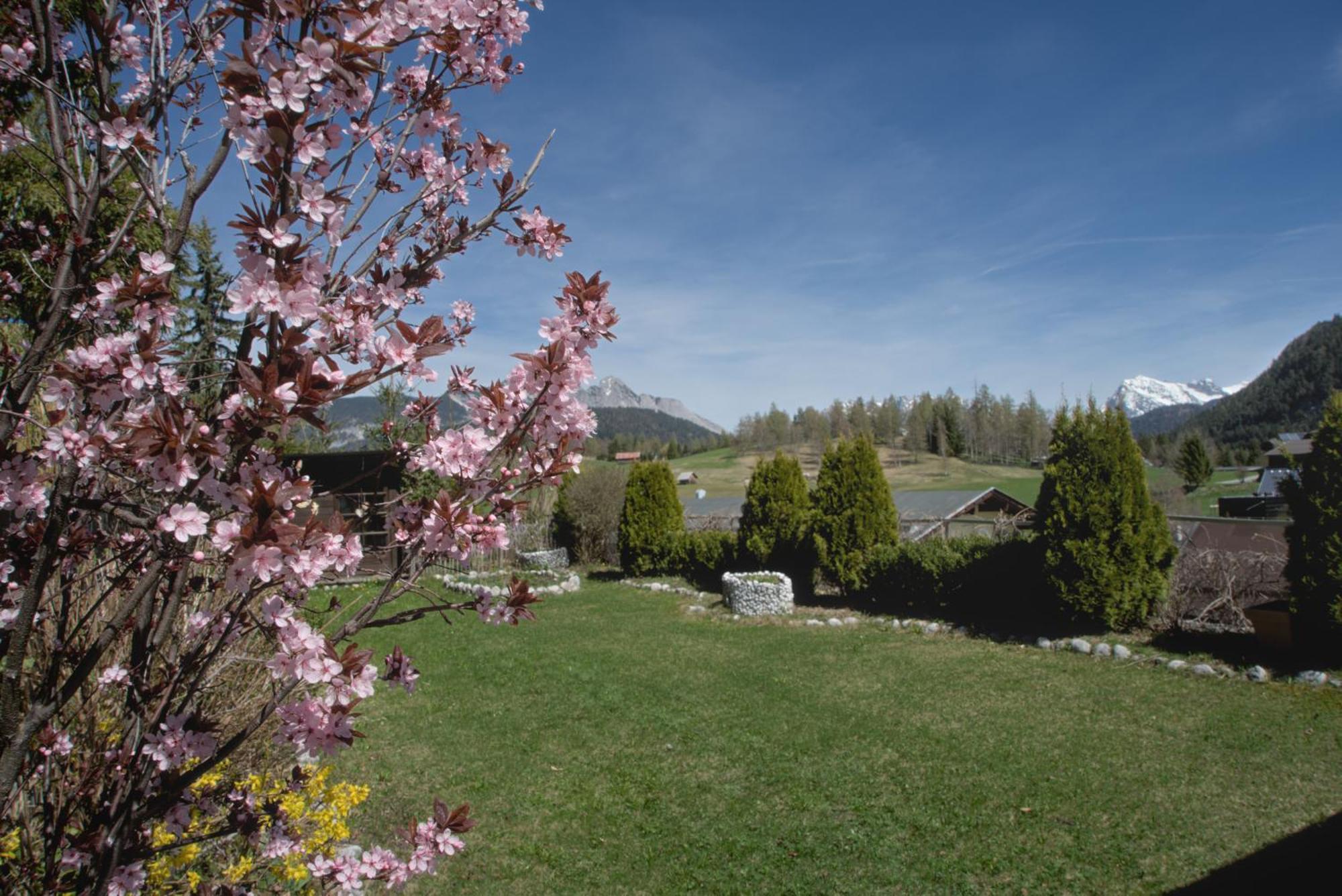 Haus Tannengruen Seefeld no Tirol Exterior foto